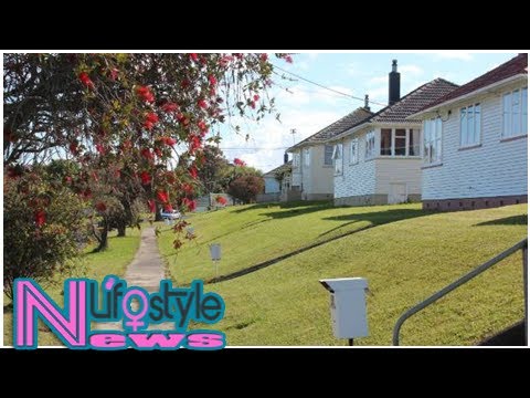 Local board backs iwi plans for belmont housing development on auckland's north shore