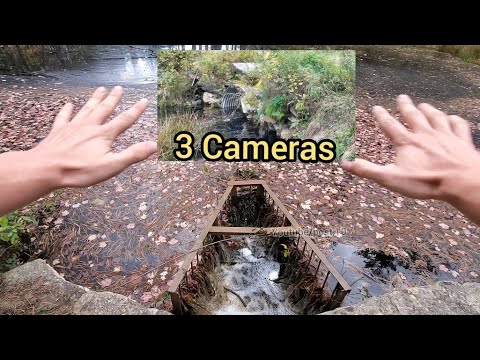 This Lake Got Completely Clogged With Leaves, So This Guy Took Matters Into His Own Hands. The Result Was Deeply Satisfying