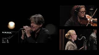 Wonderful Life by Black performed by Brett Anderson, Charles Hazlewood, and Paraorchestra