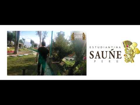 TAL VEZ MAÑANA YO ME VAYA - ESTUDIANTINA SAUÑE PERÚ