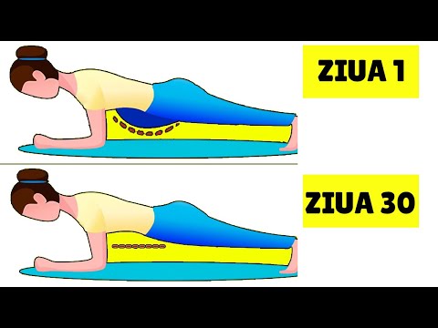 ABDOMEN PLAT 💪 CUM SCAPI DE BURTA ACASA FARA NICIUN ECHIPAMENT