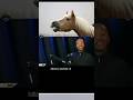 Brother Enigma On Horses Brotherenigma Shorts