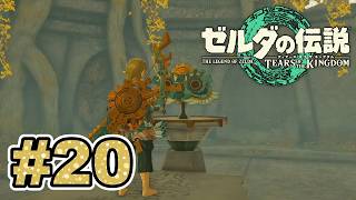 #20  どうやら魔王討伐は全然まだっぽい？マスターソードが欲しい【ゼルダの伝説 ティアーズ オブ ザ キングダム】実況プレイ