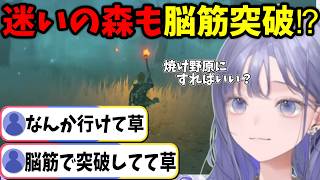 【ブレワイ#09】「迷いの森」を独自の脳筋理論でスルスル進んでしまう先斗寧【ゼルダの伝説ブレスオブザワイルド/にじさんじ切り抜き】