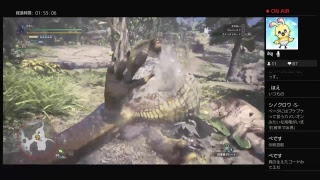 mhwβぷれい2
