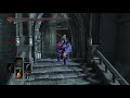 ダークソウル3 サリ裏侵入　隠密悪質クソホストの仲間にブロックされてる　dark souls iii