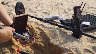Spark & GF650 Gold Metal Detectors Ground Test
