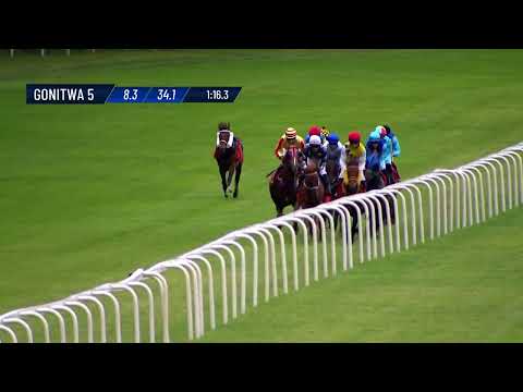 Nagroda Janowa (Przychowku) - (Kat.A) 29.06.2025