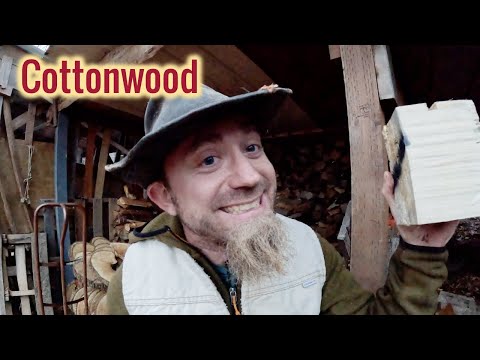 The Cottonwood Episode