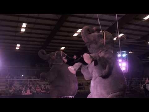 PICCADILLY CIRCUS 2013