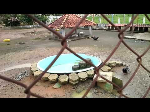 Videos del Recanto Do Teixeira 4★ en Nazaré Paulista, BrasilVer MásVerPrecios13CerrarConsulta por Whatsapp 🇦🇷BookingTripadvisorExpediaAgodaPricelineTripSkyscannerDespegarKayakHotelesBestdayTrivagoTurismocity