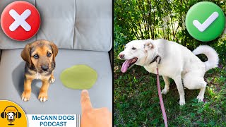 The IMPORTANCE of Proactive Vs. Reactive Dog Training