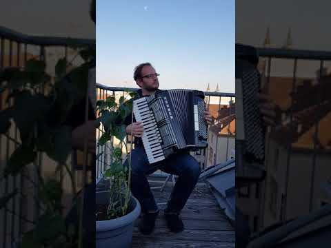 Quarantainment: Lemon Tree