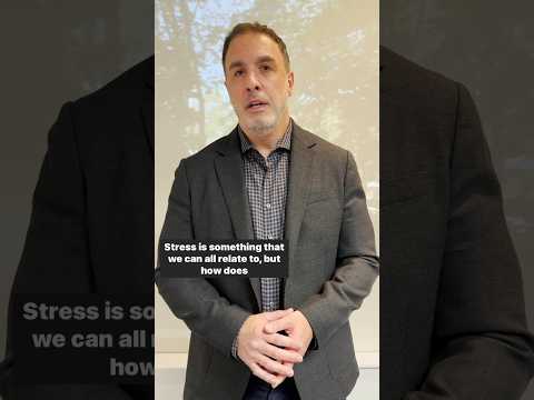 How does stress impact the body?