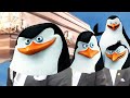 Penguins of Madagascar - Coffin Dance Song (COVER)