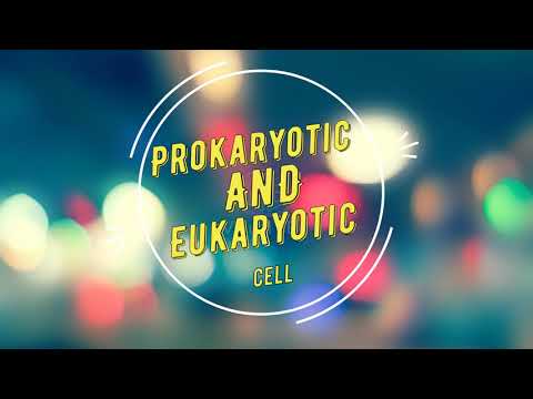 Prokaryotic & Eukaryotic cell