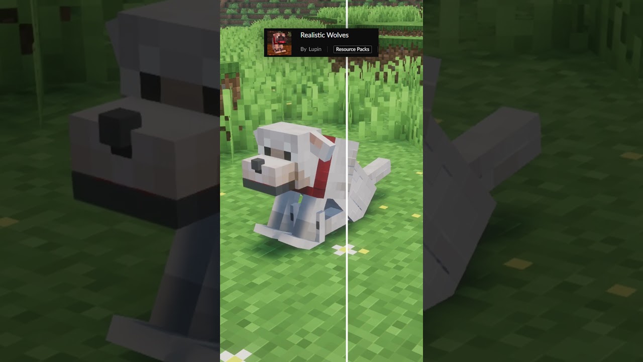 Elevate Your Minecraft Gameplay with These Incredible Packs! 🏞️