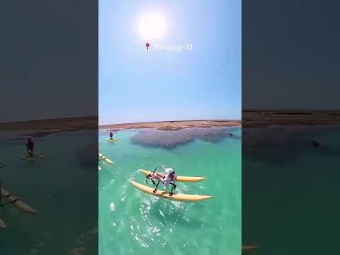 Maragogi Alagoas 🏖️