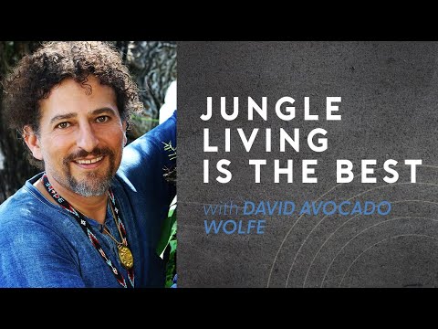 Jungle Living Is The Best with David Avocado Wolfe  episode banner