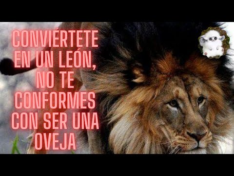 Conviértete en un León, no te conformes con ser una Oveja