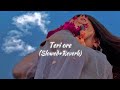 Teri Ore Slowed Reverb Rahat Fateh Ali Khan Shreya Ghoshal