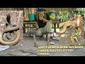 KING COBRA AT ANG PHILIPPINE COBRA