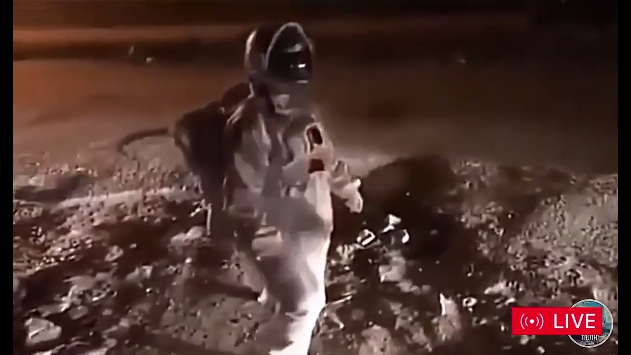 תיעוד — נחיתה על הירח: הסיפור האמיתי