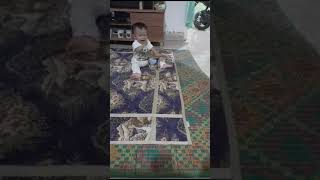 Download lagu gimana suara bebek ketawa ka,,, 😅 mp3 Download lagu gimana suara bebek ketawa ka,,, 😅 mp3