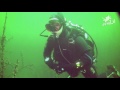 divingLu: Tauchen Geiseltalsee - Einstieg Frankleben, divingLu, Geiseltalsee, Tauchen, Tauchgang, Sachsen-Anhalt, scuba diving, scuba diver, Unterwasserwald, Geiseltalsee, Braunsbedra /Frankleben, Deutschland