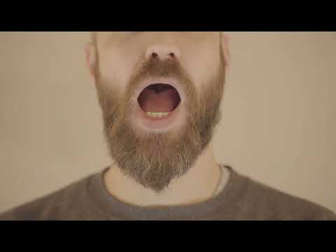 Was ist der McGurk-Effekt?