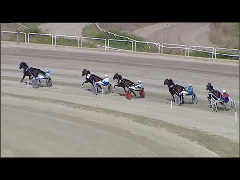 Napoli Trotto 15/09/2023 - 2ª prova di qualifica