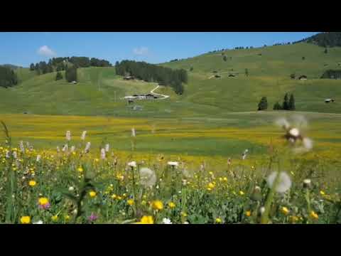 Surah At-Tariq | Beautiful recitation by Omar Hisham Al arabi