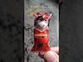 Japanese Cute Candy 6 Cute Amazing Trending Shorts