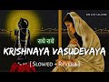 Krishnaya Vasudevaya Lofi Slowed Reverb Krishna Mantra 108 Times RN Lofi Alone