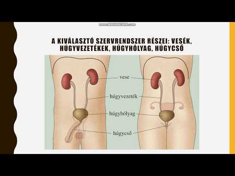 A természetes giardia kezelése