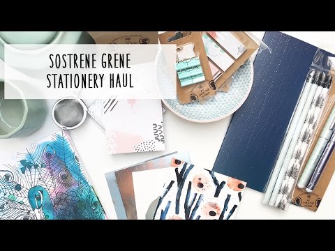 €€€ Günstige aber hübsche Schreibwaren! | Sostrene Grene Haul | Deutsch