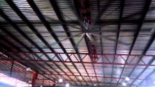 Download lagu a giant ceiling fan mp3