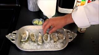 preview picture of video 'Raw Oysters on the Half Shell Recipe'