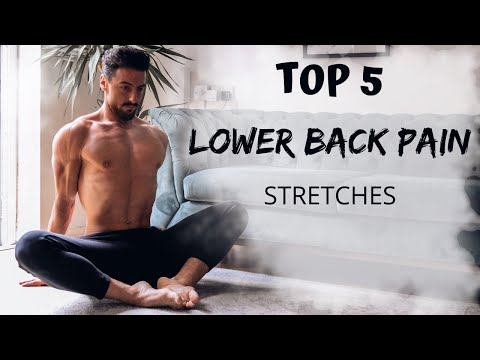 TOP 5 LOWER BACK PAIN | Stretches | Rowan Row