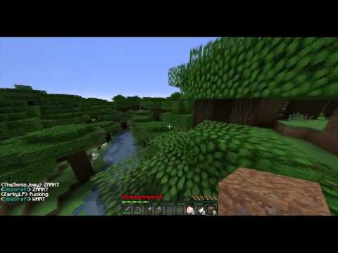 Aureus Pupillam S2E1 - Mushrooms