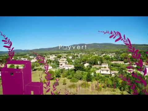 Video vignette