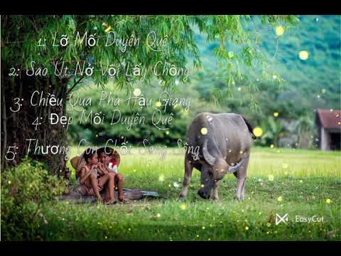 Lk Nhạc Trữ Tình Lỡ Mối Duyên Quê , Không Quảng Cáo