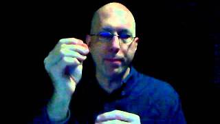 Heiner Muhlmann's Maximal Stress Cooperation Theory Discussed by John David Ebert 1/2