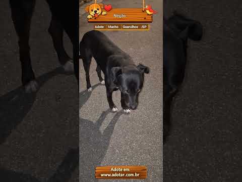 Vídeo de Negão