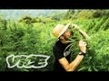 Kings of Cannabis: Part 3/3 (Documentary) 