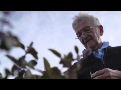 Video 1 AGAPLESION HEIMATHAUS