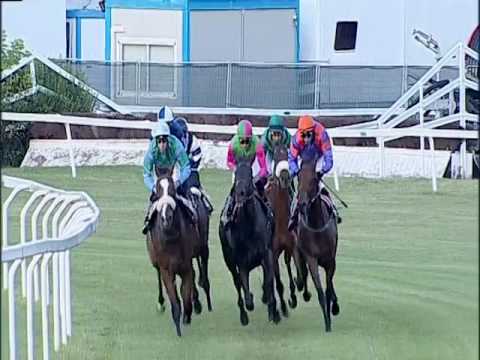 2017.07.01 Premio Luciano Mantovani (ITA) - Dancer Cross