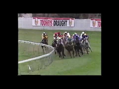 1990 George Main Stakes - Shaftesbury Avenue