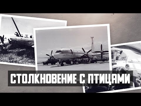 Авиакатастрофа Ил-18 в Ташкенте. Столкновение с птицами.