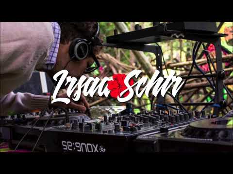 ▸ DEEJAY ZAKASH - BODYGUARD │ PLUCK DEM STYLE ♫